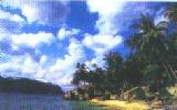 Tioman Beach View 